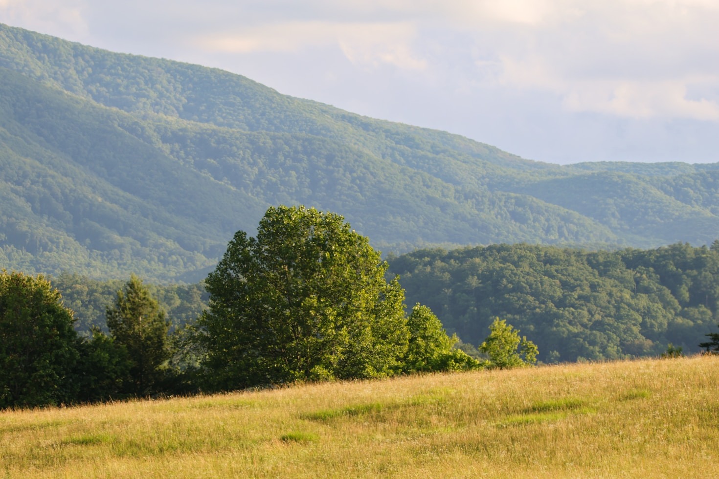 How to Get Involved in the Village Movement